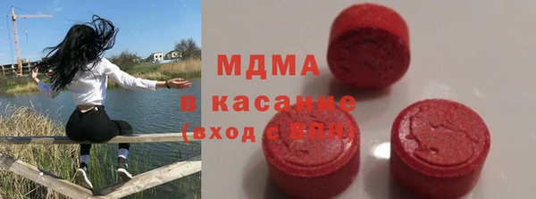 прущие грибы Вязьма